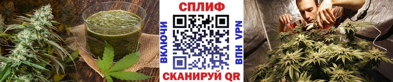 Cannafood марихуана  Купить  Рассказово 