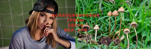 трава Зеленокумск