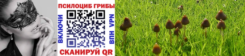 Купить где  Рассказово  Галлюциногенные грибы MAGIC MUSHROOMS 